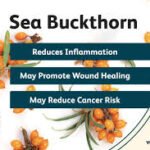 How to Process Buckthorn and the Health Effects